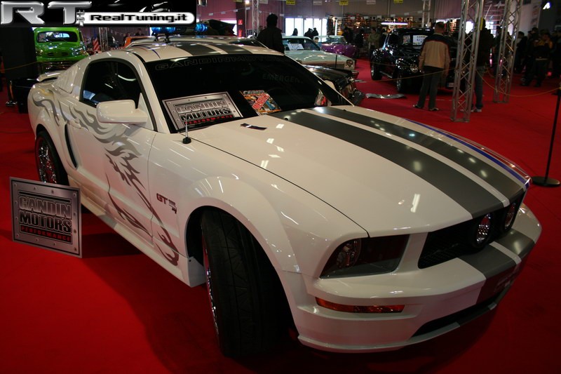 2008-01-autoexpo (Foto 119)