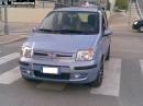 FIAT Panda di poilmodder - Foto 3