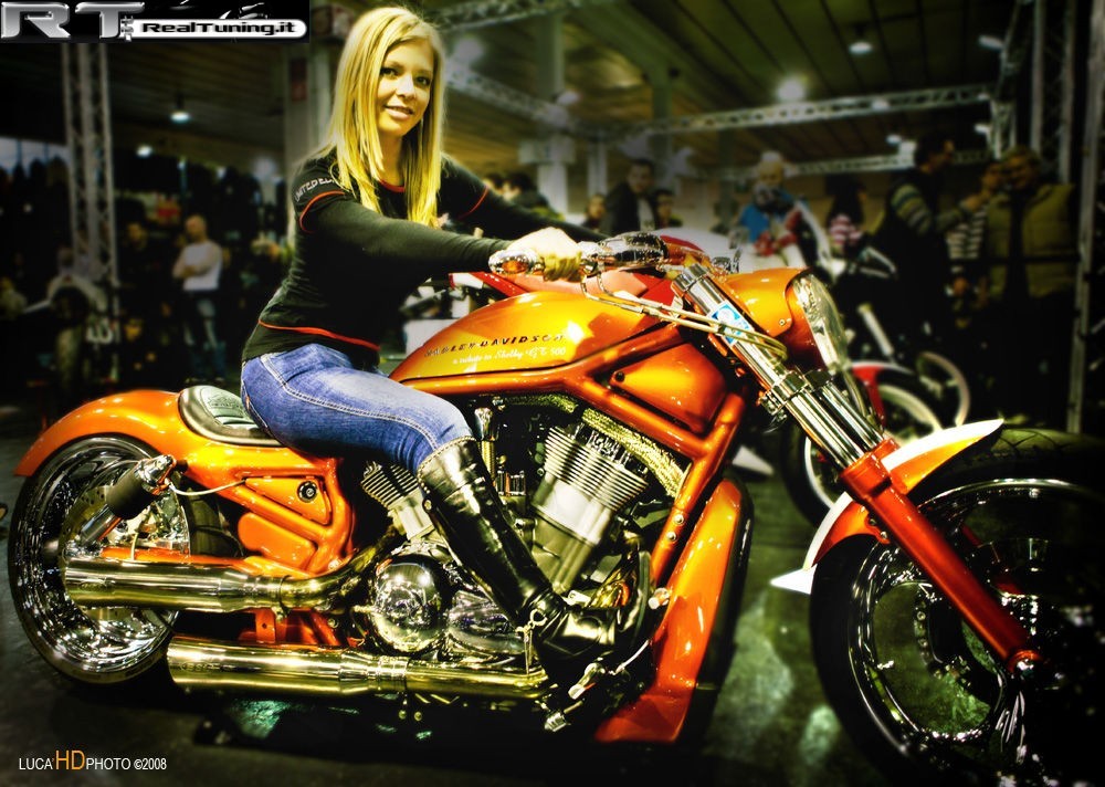 Harley-Davidson vrsca di lost - Foto 1